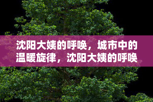 沈阳大姨的呼唤，城市中的温暖旋律，沈阳大姨的呼唤，城市中的温暖旋律