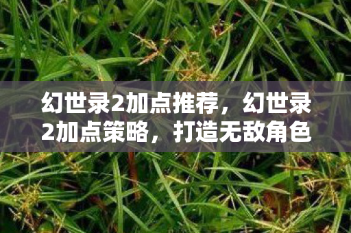 幻世录2加点推荐，幻世录2加点策略，打造无敌角色，幻世录2，打造无敌角色，精准加点策略推荐