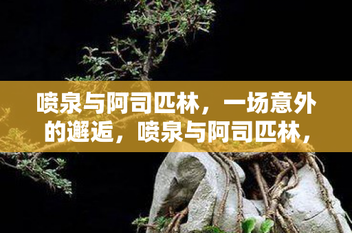 喷泉与阿司匹林，一场意外的邂逅，喷泉与阿司匹林，一场意外的邂逅