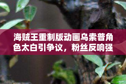 海贼王重制版动画乌索普角色太白引争议，粉丝反响强烈，失望情绪蔓延