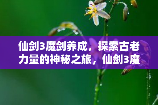 仙剑3魔剑养成，探索古老力量的神秘之旅，仙剑3魔剑养成，探索古老力量的神秘之旅