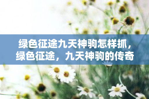 绿色征途九天神驹怎样抓图片