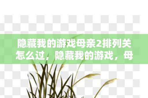隐藏我的游戏母亲2排列关怎么过，隐藏我的游戏，母亲2的启示