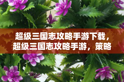 超级三国志攻略手游下载，超级三国志攻略手游，策略与胜利之路