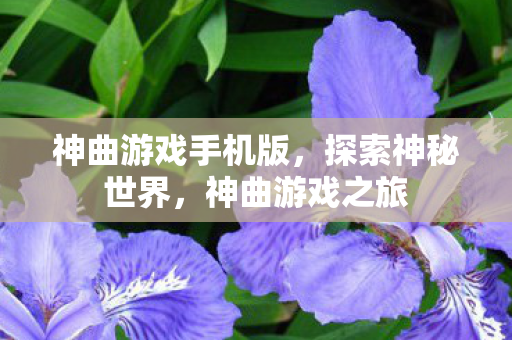 神曲游戏手机版，探索神秘世界，神曲游戏之旅