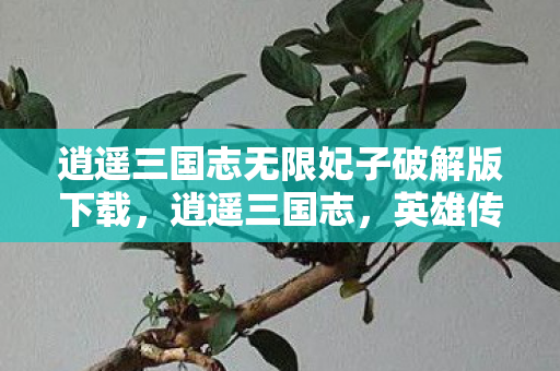 逍遥三国志无限妃子破解版下载，逍遥三国志，英雄传奇的史诗之旅