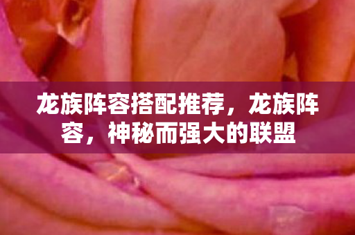 龙族阵容搭配推荐，龙族阵容，神秘而强大的联盟