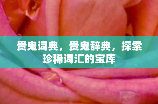 贵鬼词典，贵鬼辞典，探索珍稀词汇的宝库