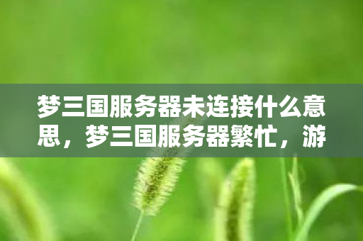 梦三国服务器未连接什么意思，梦三国服务器繁忙，游戏玩家的日常挑战与体验