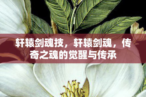 轩辕剑魂技，轩辕剑魂，传奇之魂的觉醒与传承