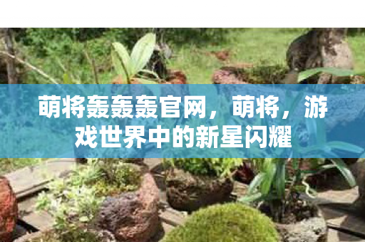 萌将轰轰轰官网，萌将，游戏世界中的新星闪耀