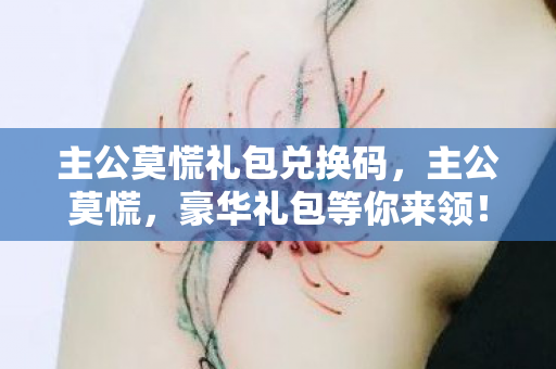 主公莫慌礼包兑换码，主公莫慌，豪华礼包等你来领！