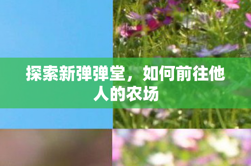 探索新弹弹堂，如何前往他人的农场