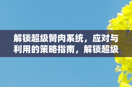 解锁超级胬肉系统，应对与利用的策略指南，解锁超级胬肉系统，应对与利用策略指南