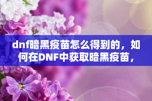 dnf暗黑疫苗怎么得到的，如何在DNF中获取暗黑疫苗，全面指南，DNF全面指南，如何获取暗黑疫苗