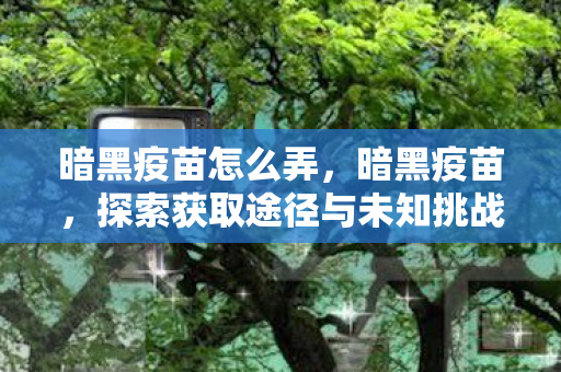 暗黑疫苗怎么弄，暗黑疫苗，探索获取途径与未知挑战，探索暗黑疫苗，获取途径与未知挑战