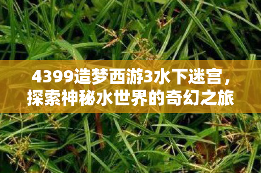 4399造梦西游3水下迷宫，探索神秘水世界的奇幻之旅，探索神秘水世界，4399造梦西游3水下迷宫奇幻之旅