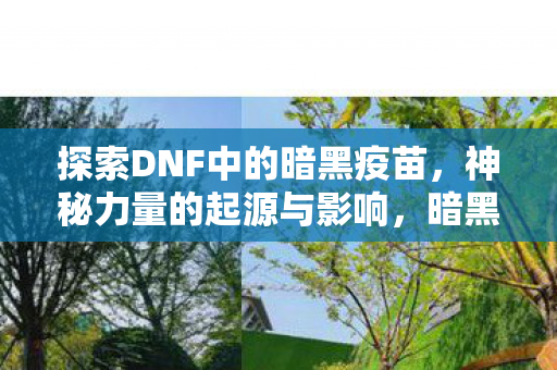 探索DNF中的暗黑疫苗，神秘力量的起源与影响，暗黑疫苗，DNF神秘力量的起源与影响