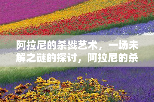 一场未解之谜的探讨图片