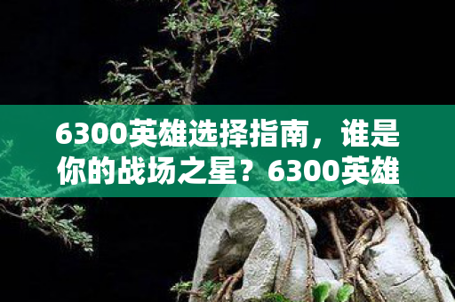 6300英雄选择指南，谁是你的战场之星？6300英雄选择指南，寻找你的战场之星