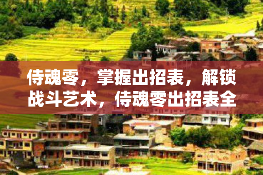 侍魂零，掌握出招表，解锁战斗艺术，侍魂零出招表全解析，解锁战斗艺术，掌握制胜技巧