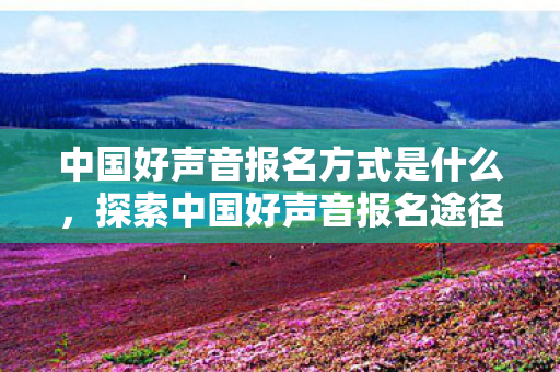 中国好声音报名方式是什么，探索中国好声音报名途径，开启你的音乐梦想之旅，探索中国好声音报名途径，开启音乐梦想之旅