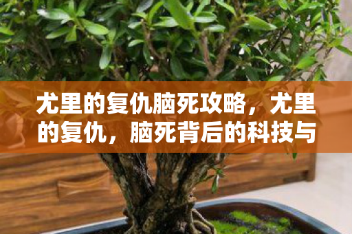 尤里的复仇脑死攻略，尤里的复仇，脑死背后的科技与人伦，尤里复仇，脑死背后的科技与人伦挑战