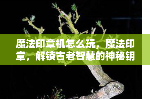 魔法印章机怎么玩，魔法印章，解锁古老智慧的神秘钥匙，解锁古老智慧的神秘钥匙，魔法印章机玩法指南