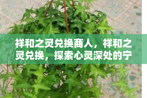 祥和之灵兑换商人，祥和之灵兑换，探索心灵深处的宁静与富足，祥和之灵，探索心灵深处的宁静与富足