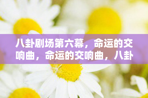 八卦剧场第六幕图片