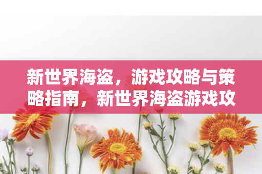 新世界海盗，游戏攻略与策略指南，新世界海盗游戏攻略与策略指南，成为海上霸主