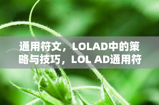 通用符文，LOLAD中的策略与技巧，LOL AD通用符文策略与技巧