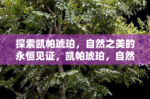 探索凯帕琥珀，自然之美的永恒见证，凯帕琥珀，自然之美的永恒见证