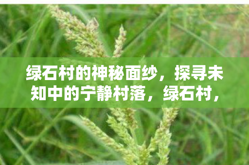绿石村的神秘面纱，探寻未知中的宁静村落，绿石村，探寻未知中的宁静村落