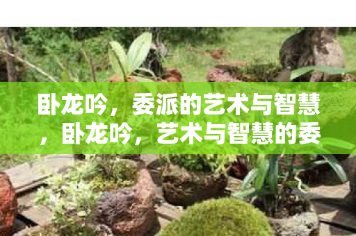 卧龙吟，委派的艺术与智慧，卧龙吟，艺术与智慧的委派之旅