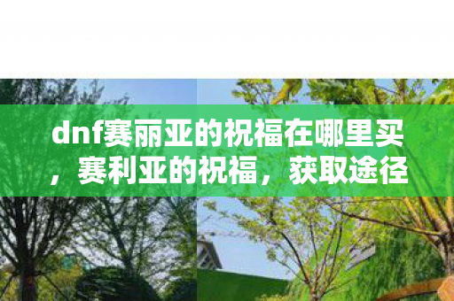 dnf赛丽亚的祝福在哪里买，赛利亚的祝福，获取途径与意义解析，赛丽亚的祝福，获取途径与意义全解析