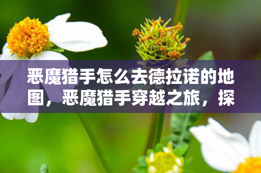恶魔猎手怎么去德拉诺的地图，恶魔猎手穿越之旅，探索德拉诺的奥秘，恶魔猎手穿越之旅，探索德拉诺的神秘地图