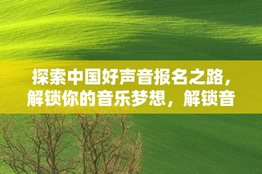 探索中国好声音报名之路，解锁你的音乐梦想，解锁音乐梦想，探索中国好声音报名之路