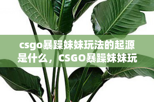 csgo暴躁妹妹玩法的起源是什么，CSGO暴躁妹妹玩法，一场游戏文化的意外萌生，CSGO暴躁妹妹玩法，一场游戏文化的意外萌生