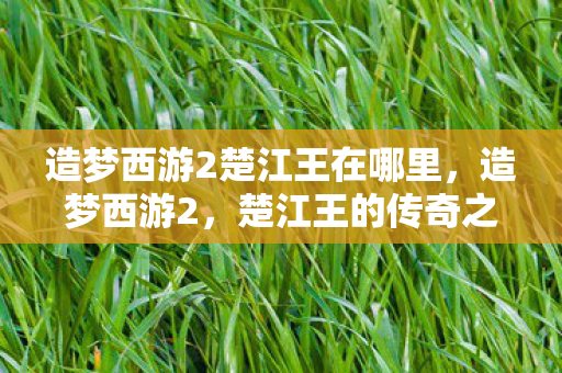 造梦西游2楚江王在哪里，造梦西游2，楚江王的传奇之旅，楚江王的传奇之旅，造梦西游2中的楚江王在哪里？