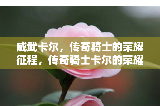 威武卡尔，传奇骑士的荣耀征程，传奇骑士卡尔的荣耀征程