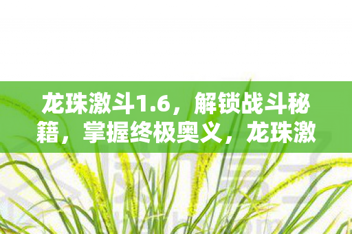 龙珠激斗1.6，解锁战斗秘籍，掌握终极奥义，龙珠激斗1.6解锁战斗秘籍，掌握终极奥义
