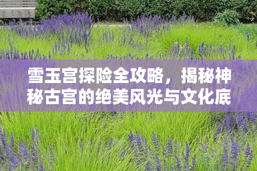 雪玉宫探险全攻略，揭秘神秘古宫的绝美风光与文化底蕴，雪玉宫探险全攻略，揭秘绝美风光与文化底蕴