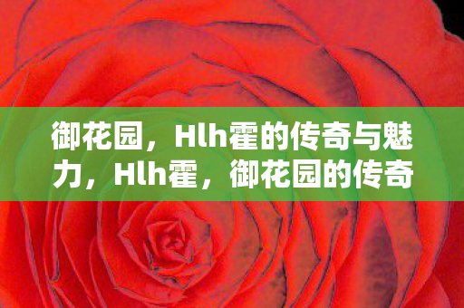 御花园，Hlh霍的传奇与魅力，Hlh霍，御花园的传奇与魅力