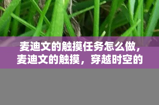 麦迪文的触摸任务怎么做，麦迪文的触摸，穿越时空的温暖与力量，麦迪文，触摸任务，穿越时空的温暖与力量