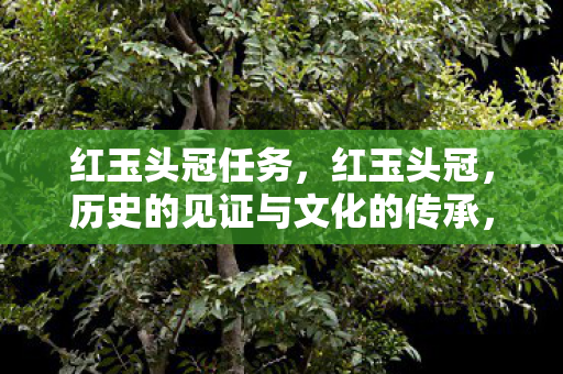 红玉头冠任务，红玉头冠，历史的见证与文化的传承，红玉头冠，历史的见证与文化的传承