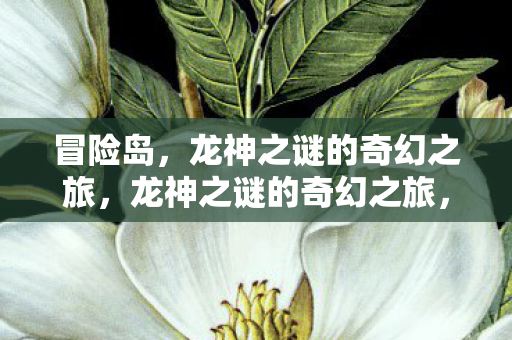 冒险岛，龙神之谜的奇幻之旅，龙神之谜的奇幻之旅，冒险岛冒险记