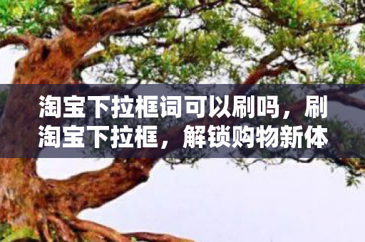 淘宝下拉框词可以刷吗，刷淘宝下拉框，解锁购物新体验，刷淘宝下拉框解锁购物新体验？