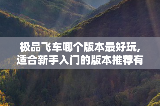 极品飞车哪个版本最好玩,适合新手入门的版本推荐有吗?，极品飞车，哪款版本最引人入胜？极品飞车，哪款版本最适合新手入门？