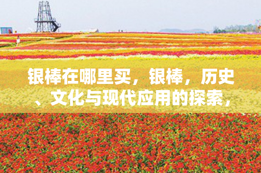 文化与现代应用的探索图片